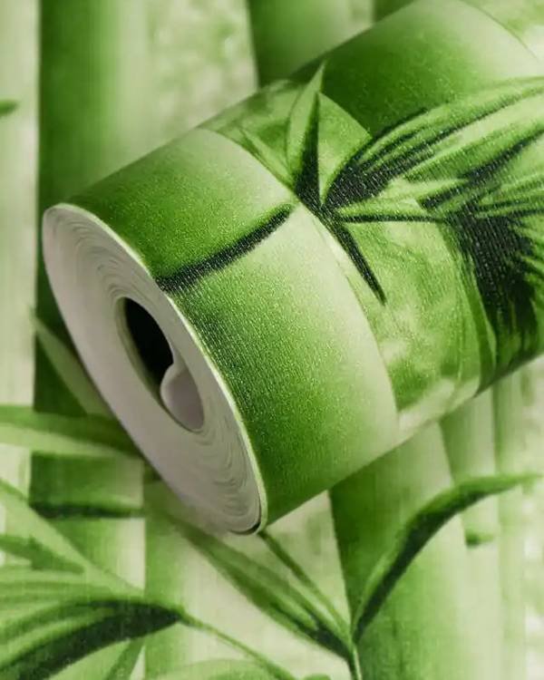 Green Bamboo Grove