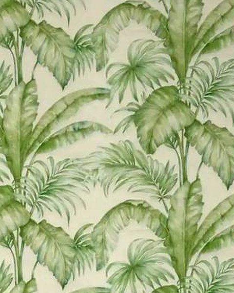 Green Tropical wallpaper close-up