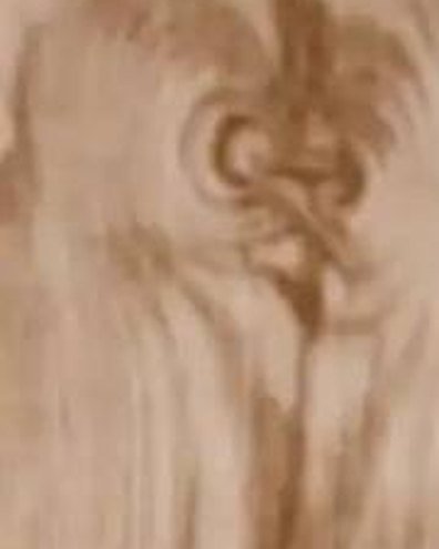 Beige Wood Planks II wallpaper close-up