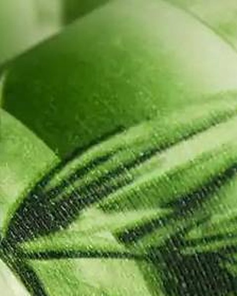 Green Bamboo Grove wallpaper close-up